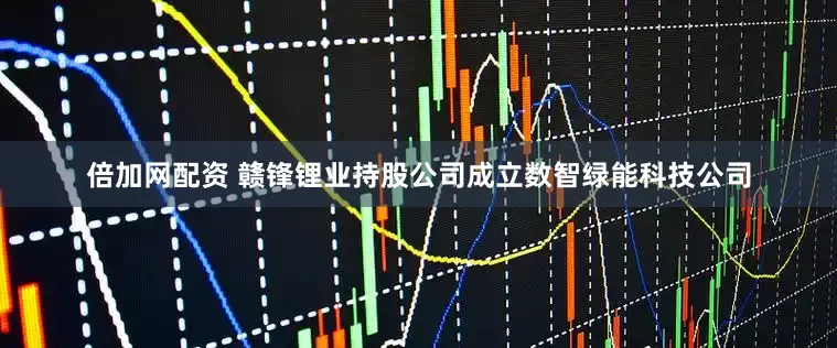 倍加网配资 赣锋锂业持股公司成立数智绿能科技公司